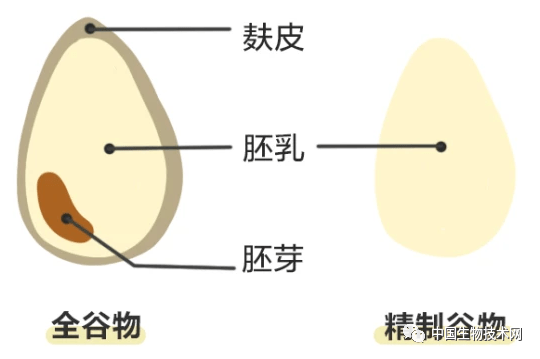 35e12eebde8b4122af1b558bc353d0d1.png