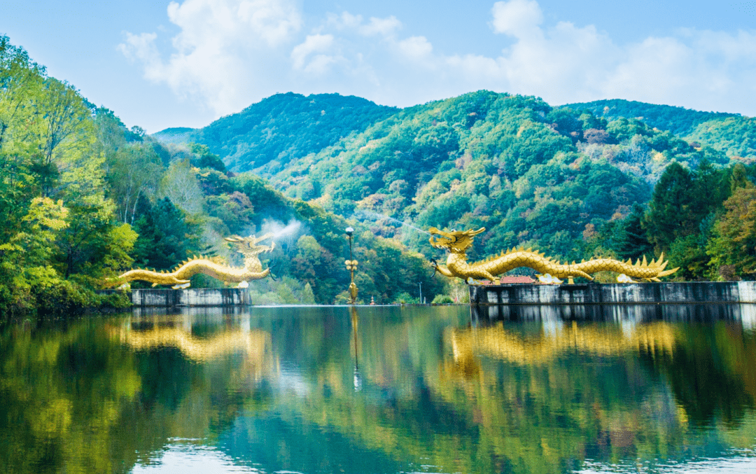 通化白鸡峰森林公园图片