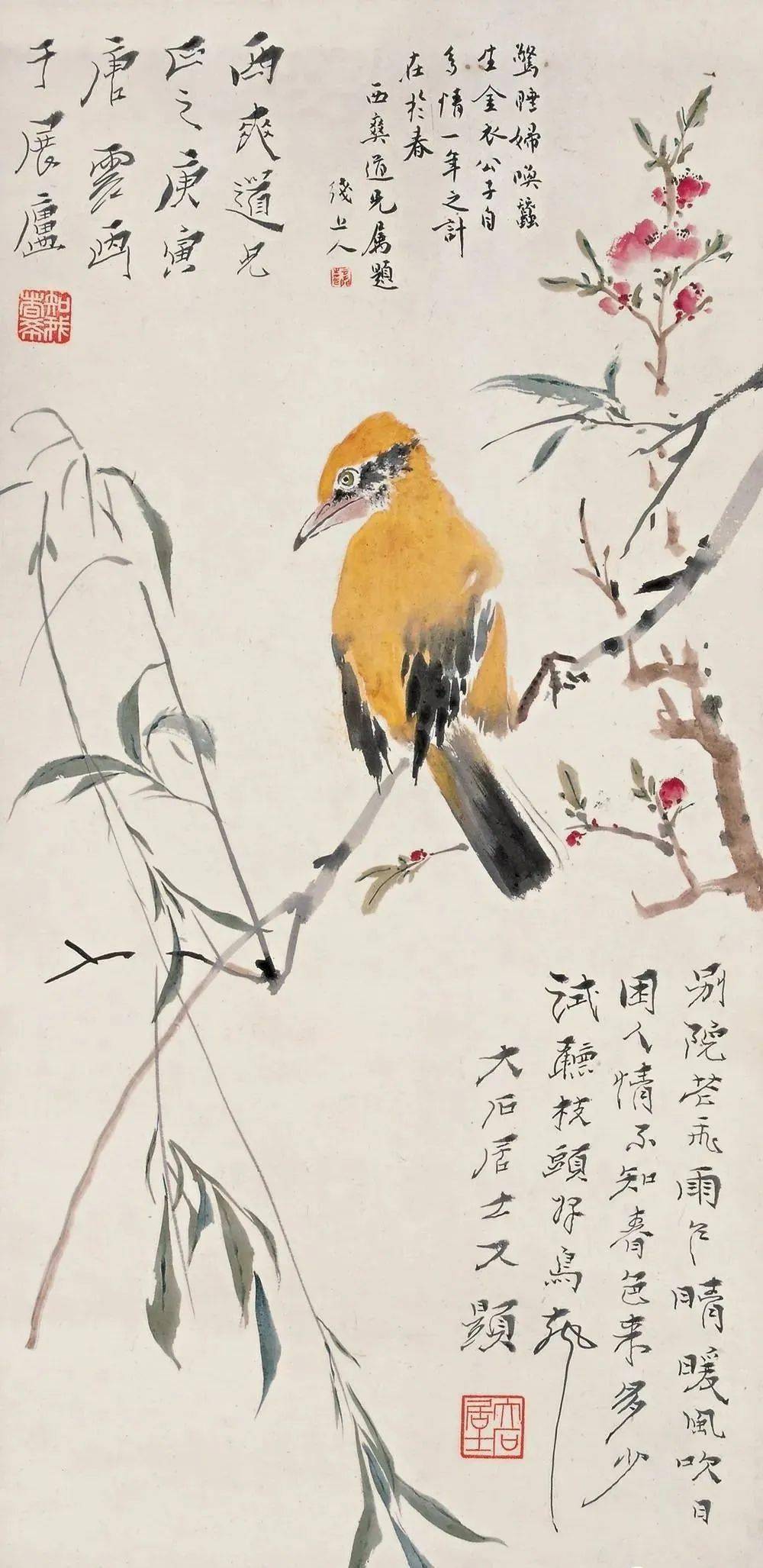 花鸟名家笔下的黄鹂鸟附教程