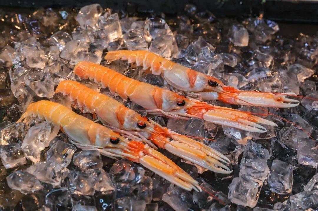 绿色本源爱尔兰海鲜,助力"食戟之最"诞生!