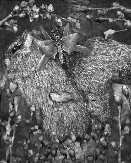 问题|“选择”摄影奖（第一届）揭晓 | 张兰坡：作品的核心生命