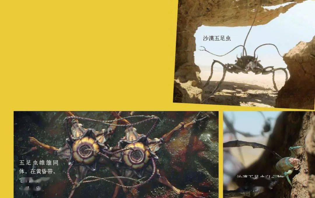 走进外星球的怪兽世界