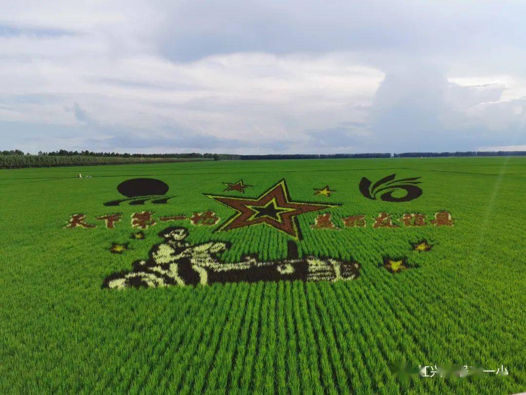 一路收获——友谊县第三小学三(5)动感中队暑期实践活动走进友谊农场