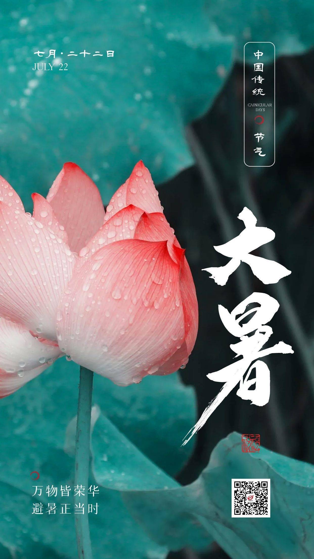 今日大暑 | 万物皆荣华,避暑正当时