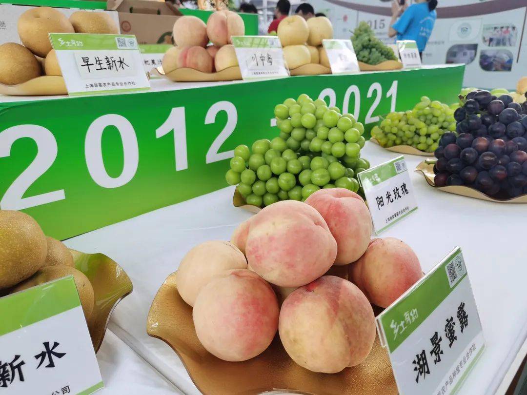 马陆葡萄南汇水蜜桃松江水晶梨上海信得过果园可宅送可采摘