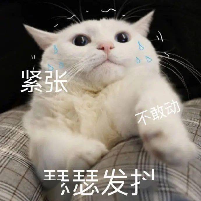 9c6ef44e1e9e46b29241aa1994454c49.jpeg
