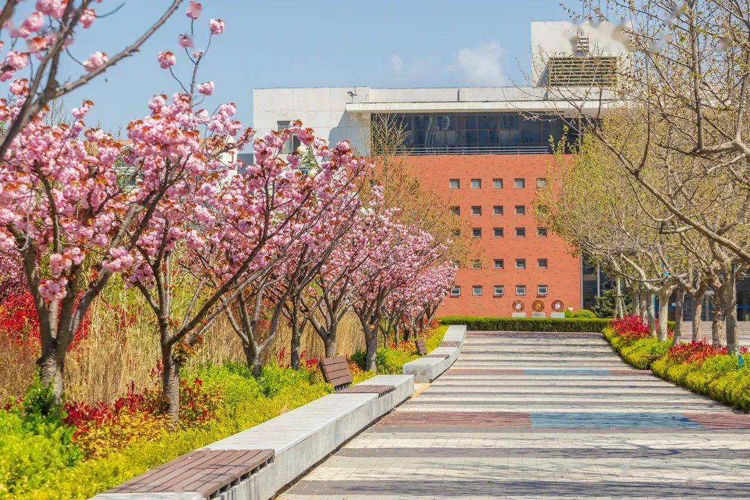 遇见山外山东外贸职业学院校园开放日今天下午学长学姐带你直播逛校园