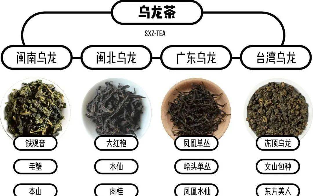 云端搜城记武夷岩茶这些特性还不知道品鉴乌龙茶最该注意些什么