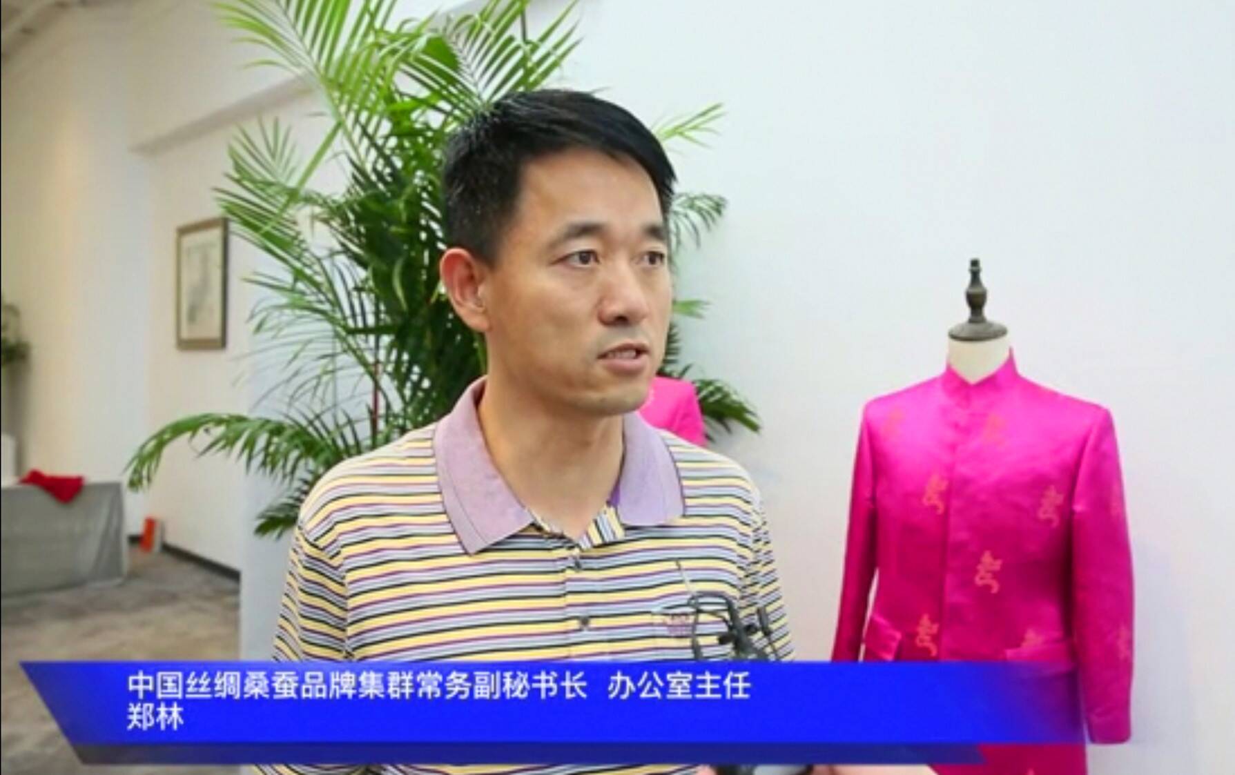 定义|“中国当代‘华服’定义与规范学术论证会”在清华大学举行