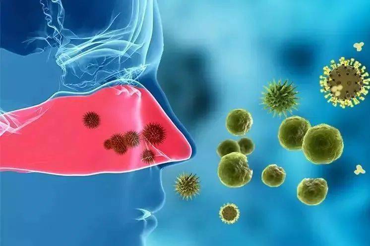 产品|新西兰“国民级”鼻炎品牌：一喷就通，10倍轻柔！小孩都不抗拒的通鼻神器！