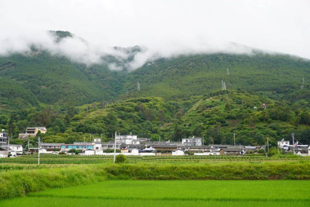 剑川县最新县委书记图片