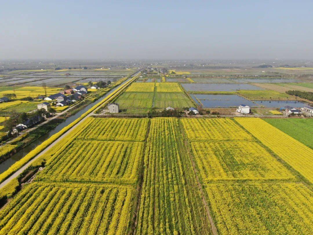 三湘大地耕作忙洞庭湖畔鱼米香