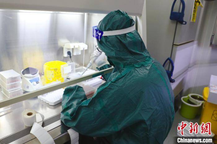 人员|抗疫“尖刀连”：22人连轴转 24小时近万份核酸报告这样“抢”出