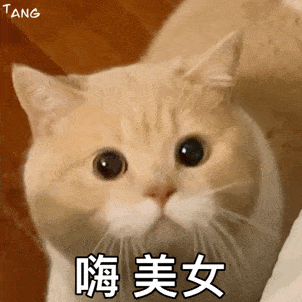 偷偷想你嘴角会笑