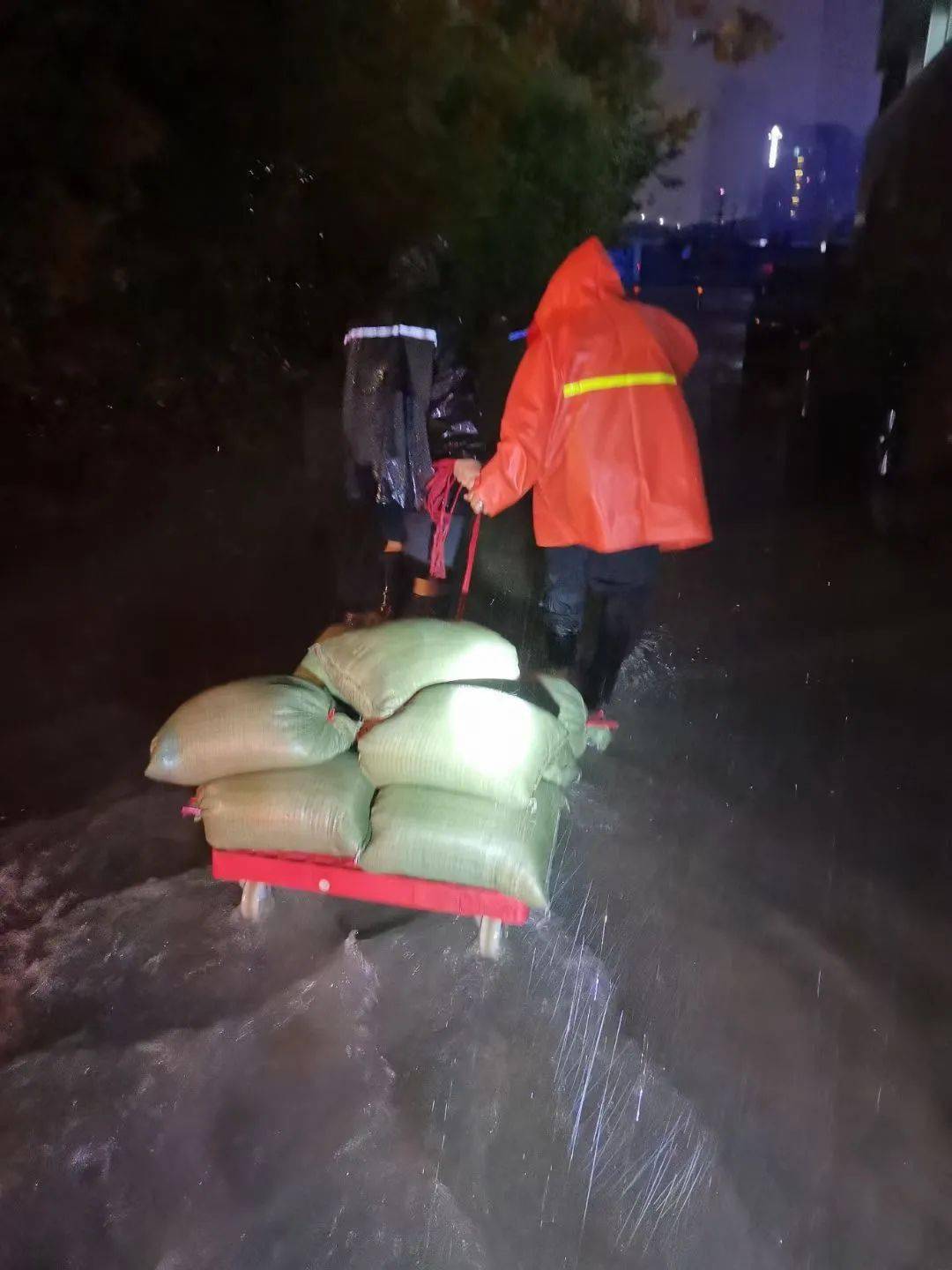 迎战"烟花",从白天到黑夜,宁波美术馆全力开展防台防汛工作