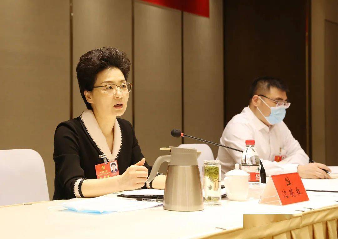 市领导参加各代表团分组讨论