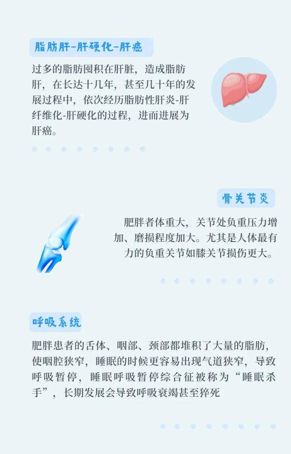 核心|一胖毁所有，可不是个玩笑话！肥胖的危害远比你想象的多