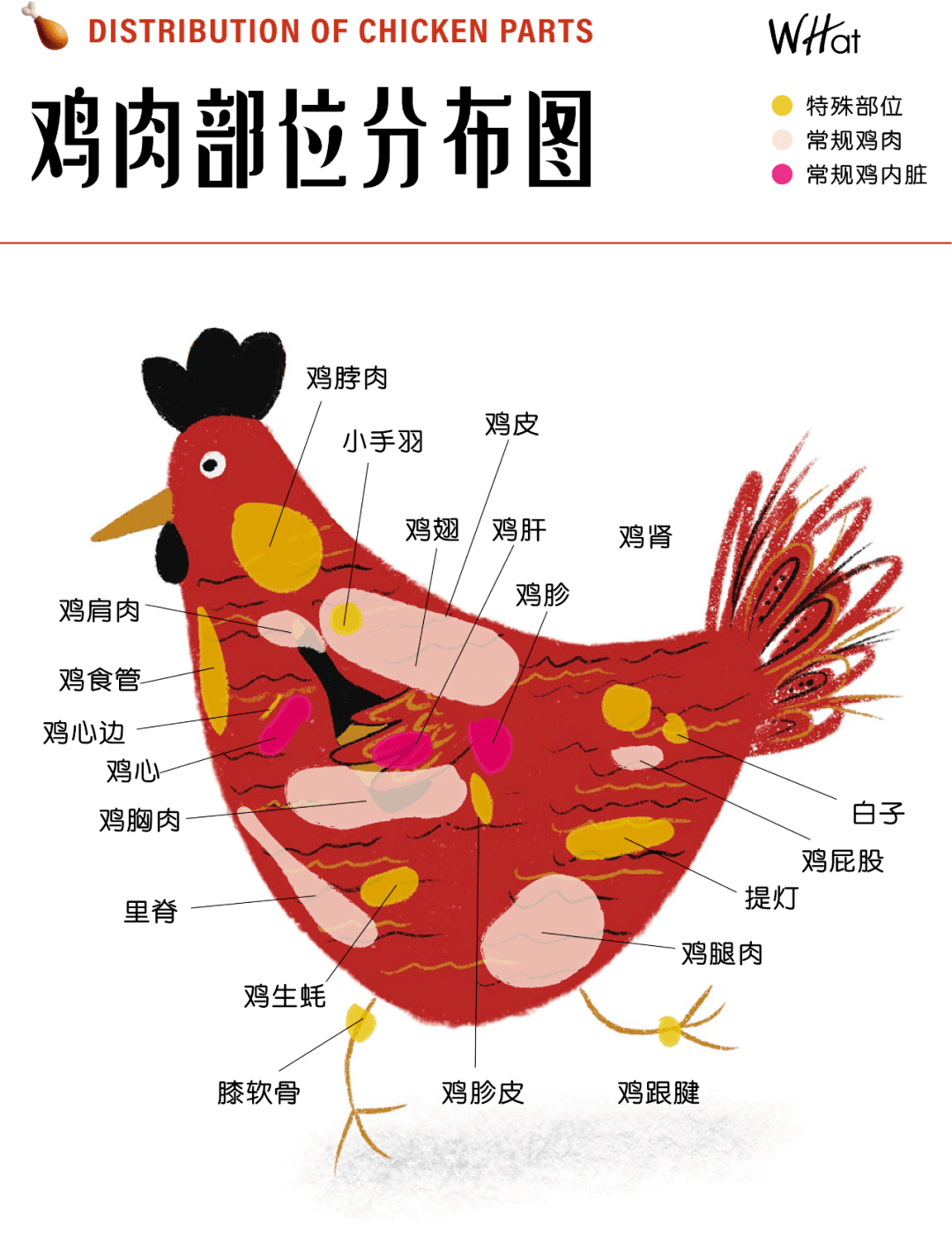 武汉神秘烧鸟店一口提灯入喉想去东京走走