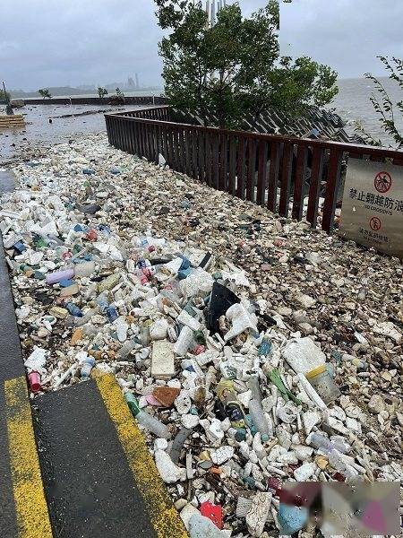 台风“烟花”过境后 上海千米江堤变垃圾堆场[组图]