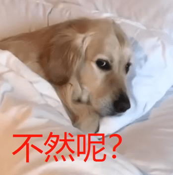 为什么有些人可以一整天呆在家 0355da2cb99e491f91be2ab214af9fb1.png