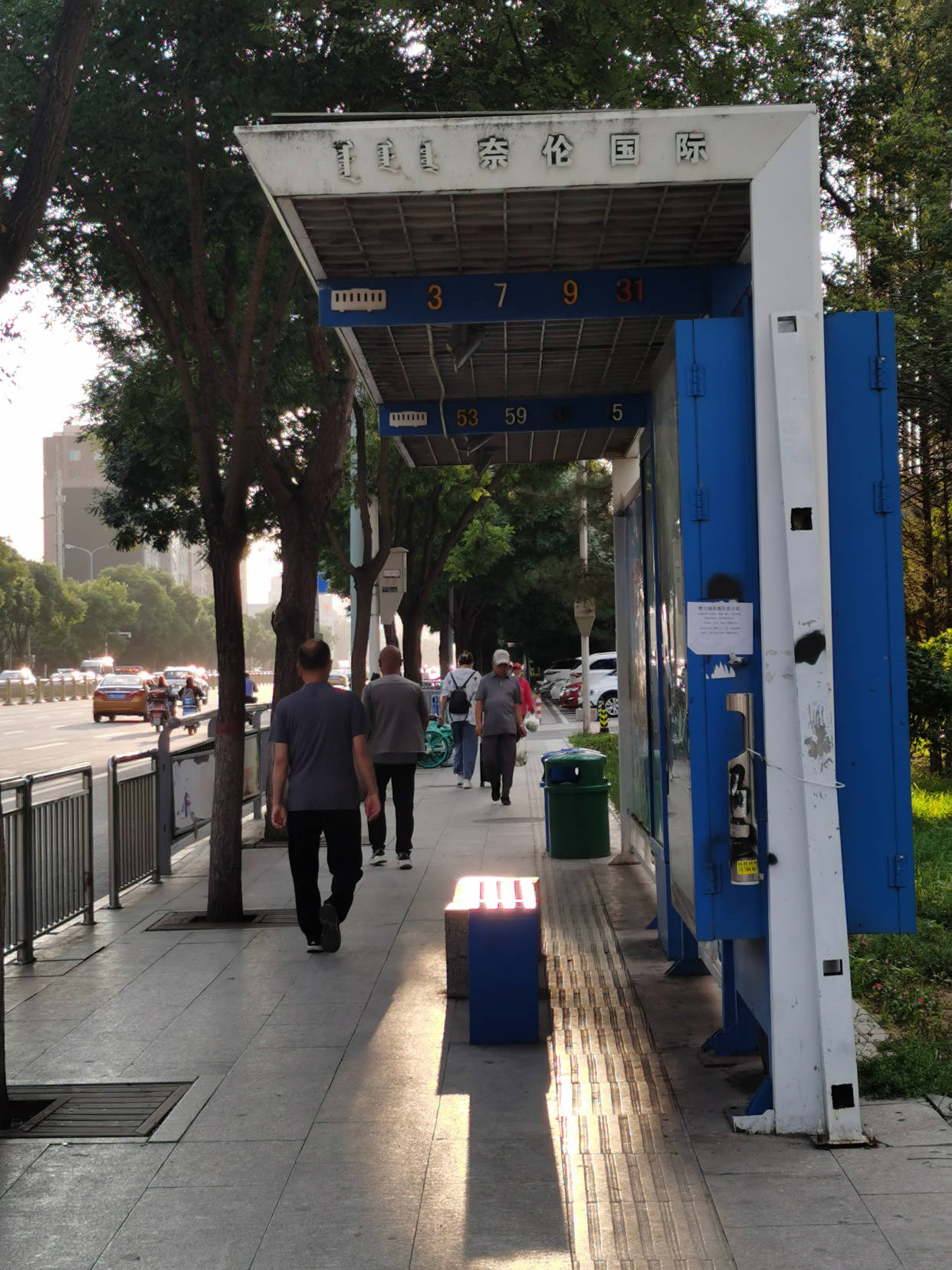 道路|阳光中谁寄锦书来