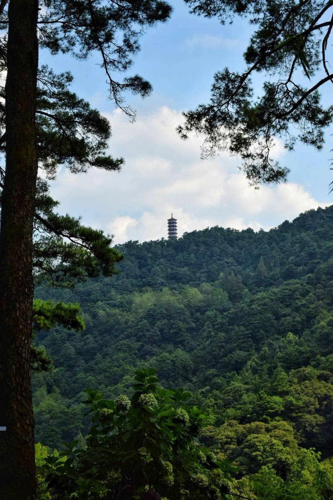 贵阳南岳山图片