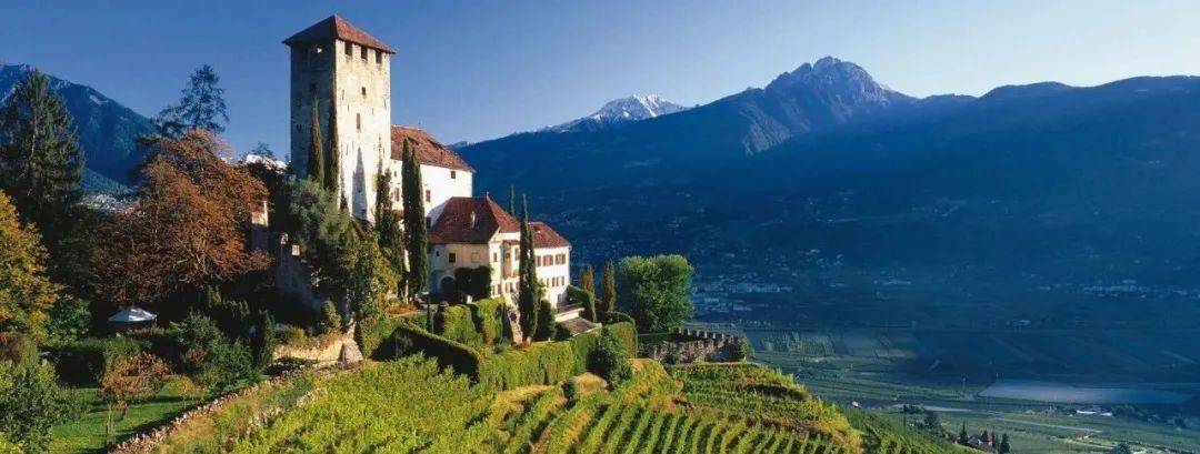 Wine|170家酒庄,意大利一出手就是王炸