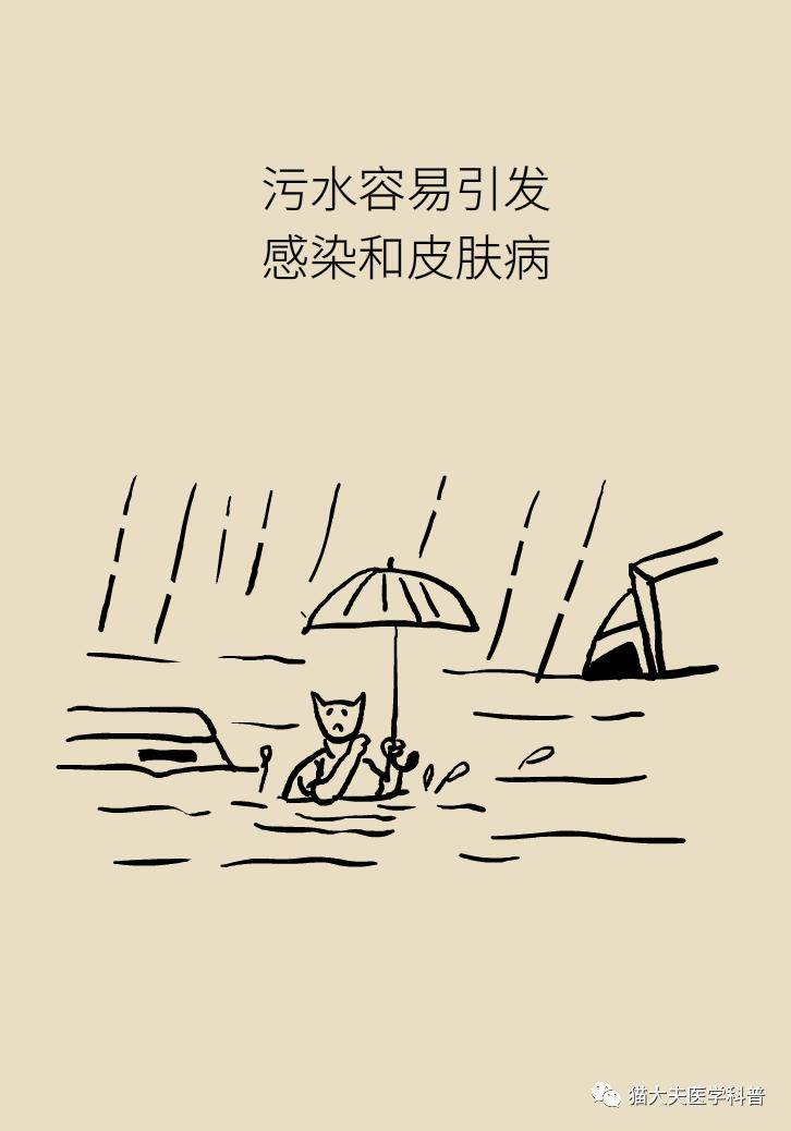 金奖|暴雨灾后如何防病？记住这9句话