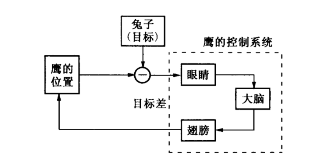 系统式心理治疗讲稿丨从可能到不变_控制论