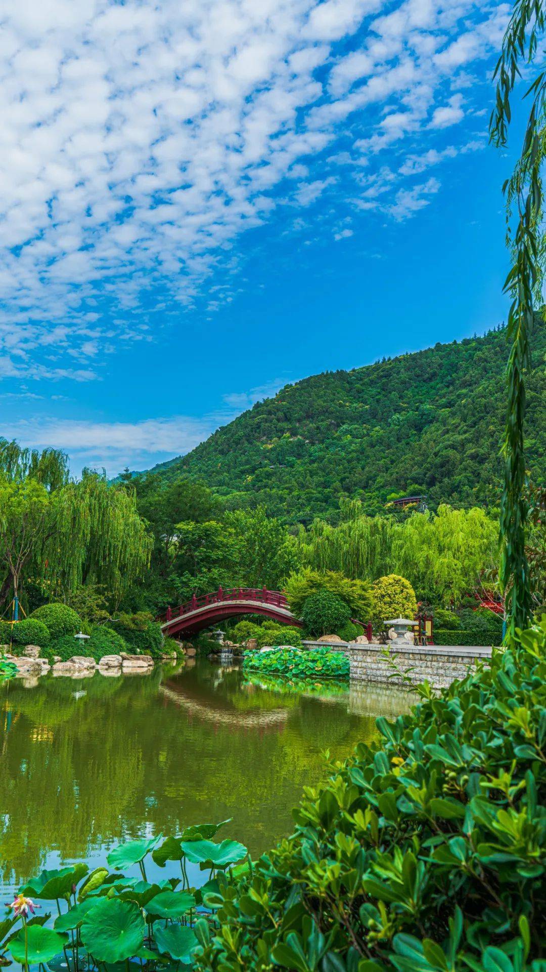 华清宫夏日消暑记丨用美图给你满屏的沁凉