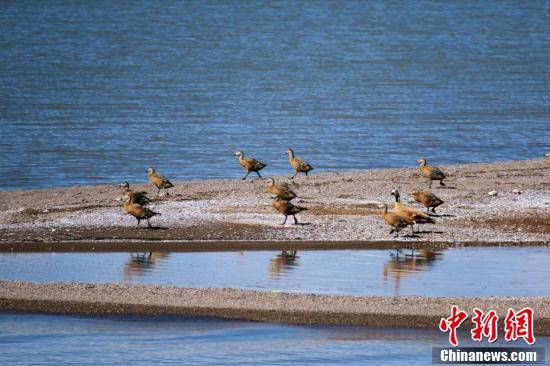 高原|西藏海拔逾4400米高原湖泊达则错：生态良好风景优美