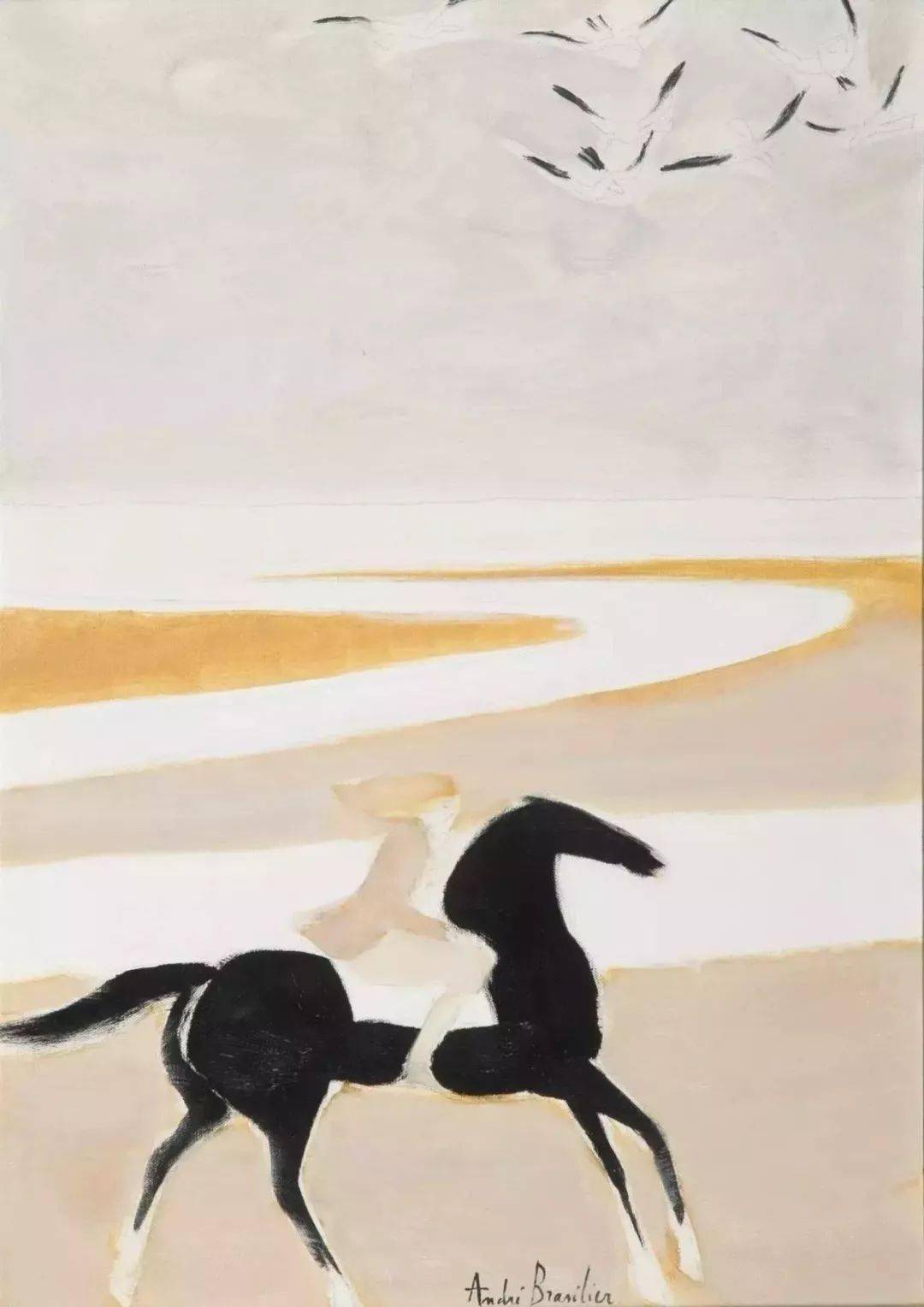 andrebrasilier高清作品