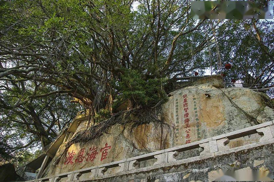藏在东山岛夏日里的美好瞬间你都感受过了吗
