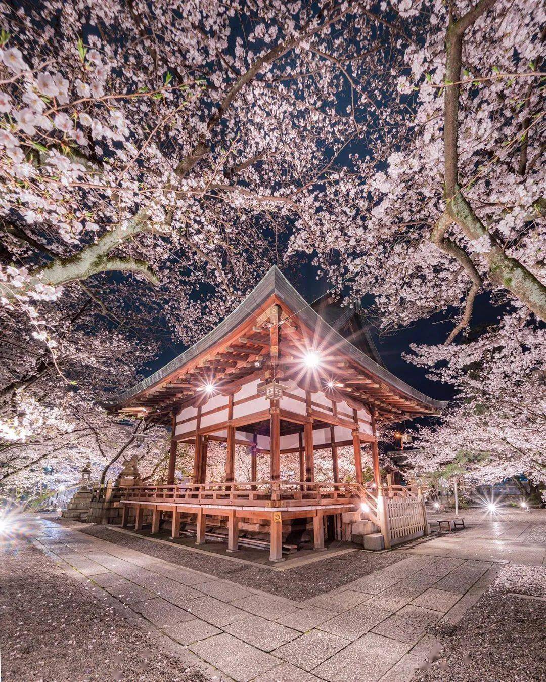 京都府 平野神社▲ 京都府鸟居▲ 奈良县 壶阪寺让人仿佛穿越回千年