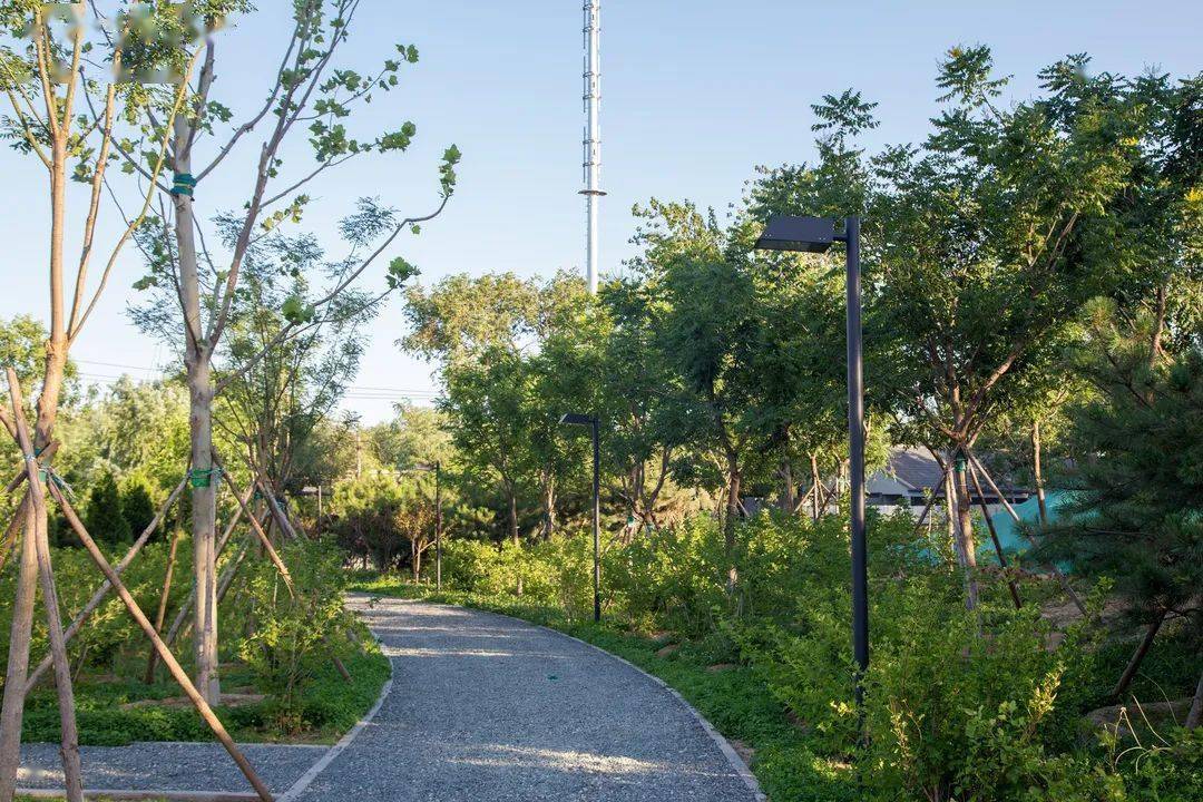 夏日,来这座森林公园——功德寺公园寻一片清凉!