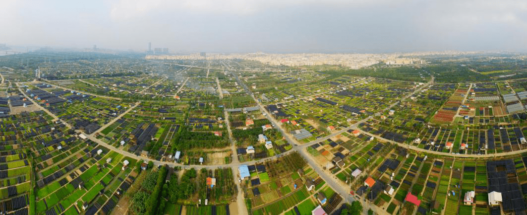 策马扬鞭乘势而上横栏镇上半年gdp增速全市第一