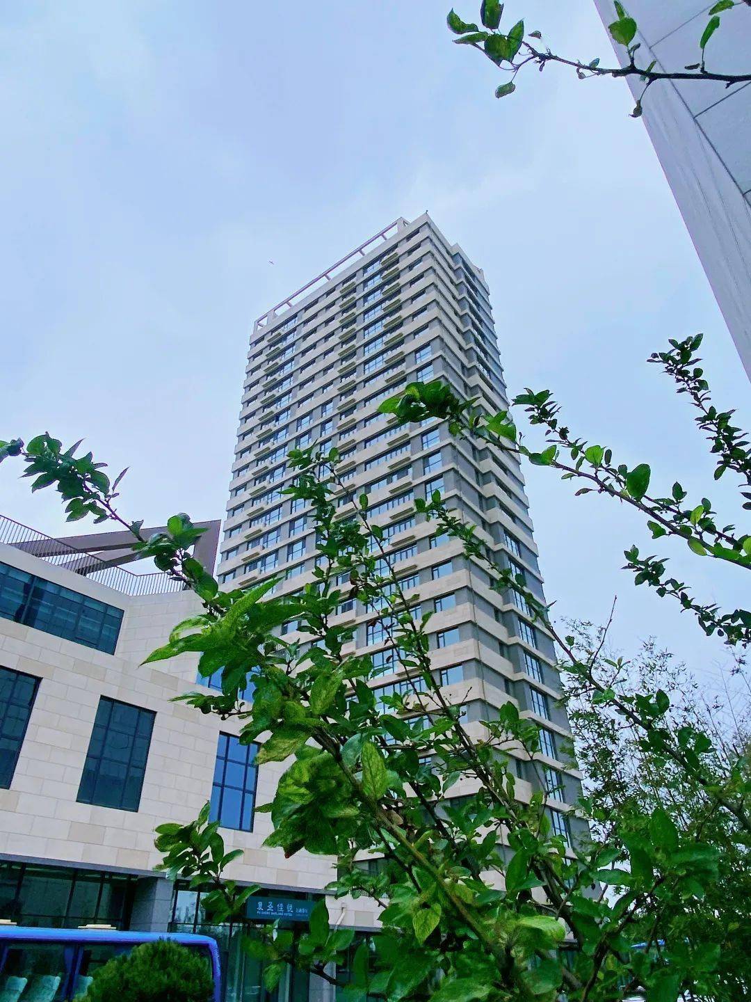 一幅幅巨大的画卷放眼望去弥漫了整个绿景·新天地雨后清新的空气雨后