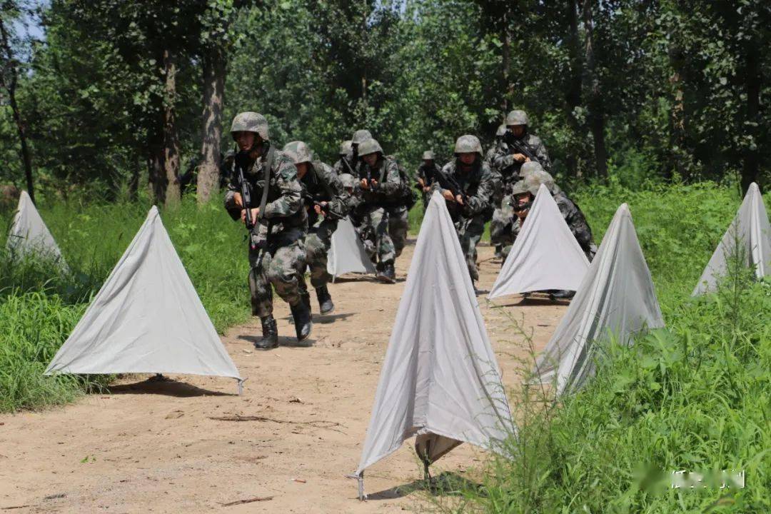 全程练打仗处处闻硝烟飞行学员野外训练战味儿十足