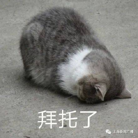 网友|陈梦项链？杨倩发夹？强实力带来奥运“爆款”单品！