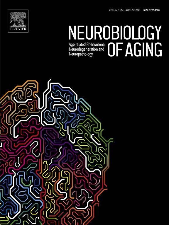 脂肪|有害的身体脂肪不仅会增加腰围，还会增加患失智症的风险