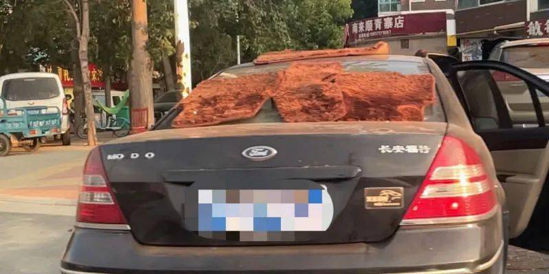 "晾晒"中的受损车