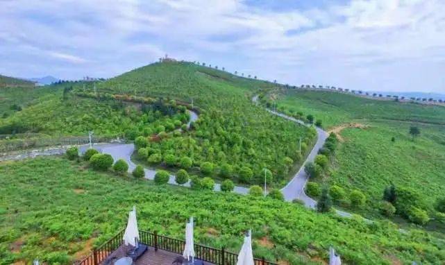 助力乡村振兴 主播公益宣传 衣哥等走进茶陵万樟园林风景区!