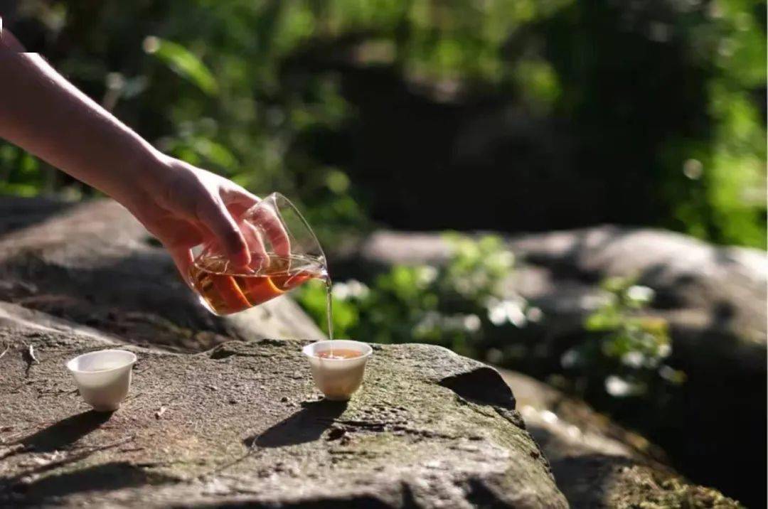 对自己最好的生活方式,就是好好喝茶