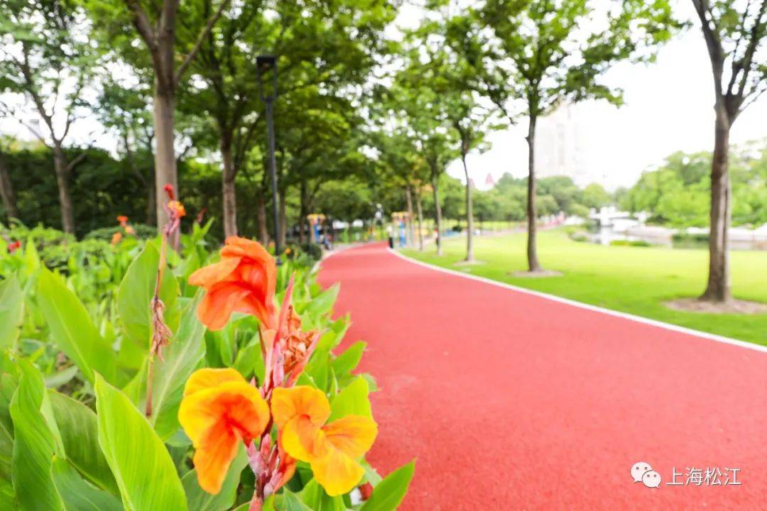 松江今年已新建12条健身步道，看看哪条在你家附近