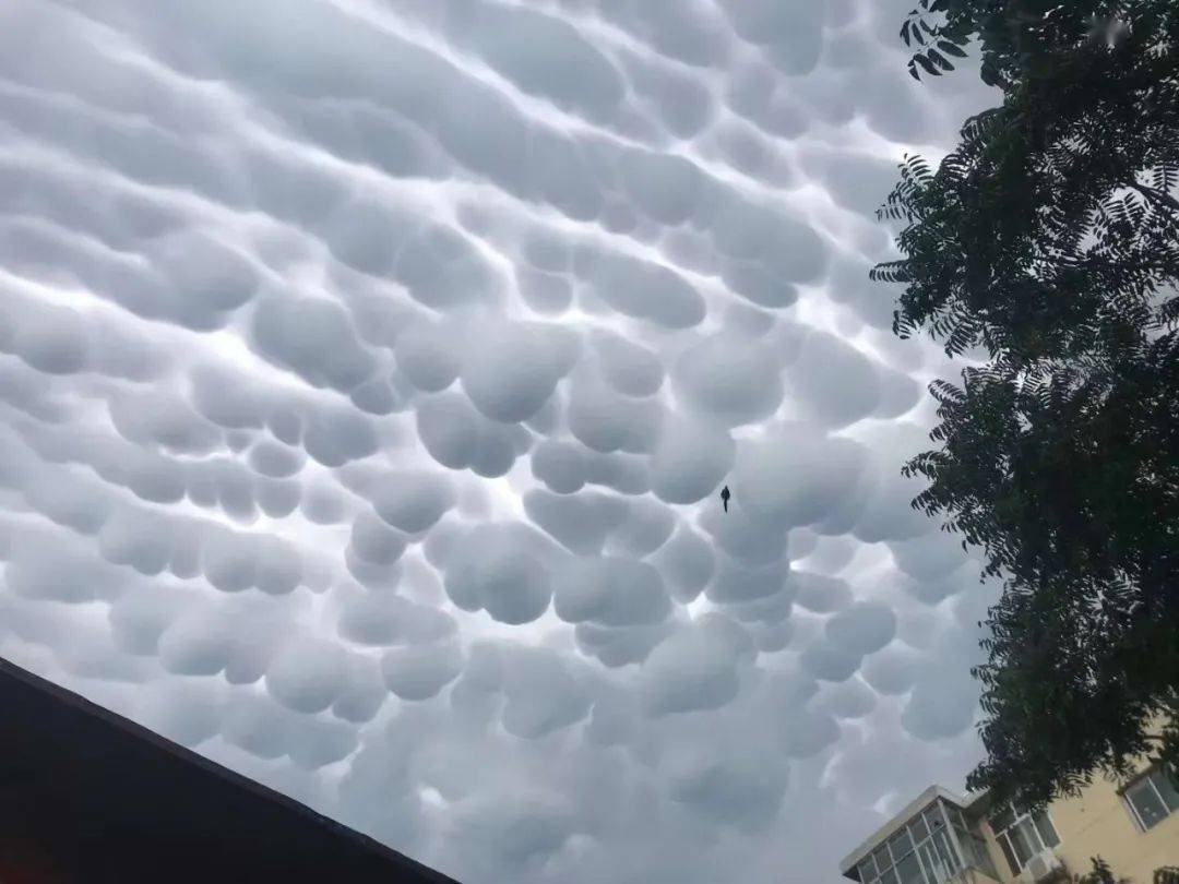 刚刚,沙河天空惊现乳状云.