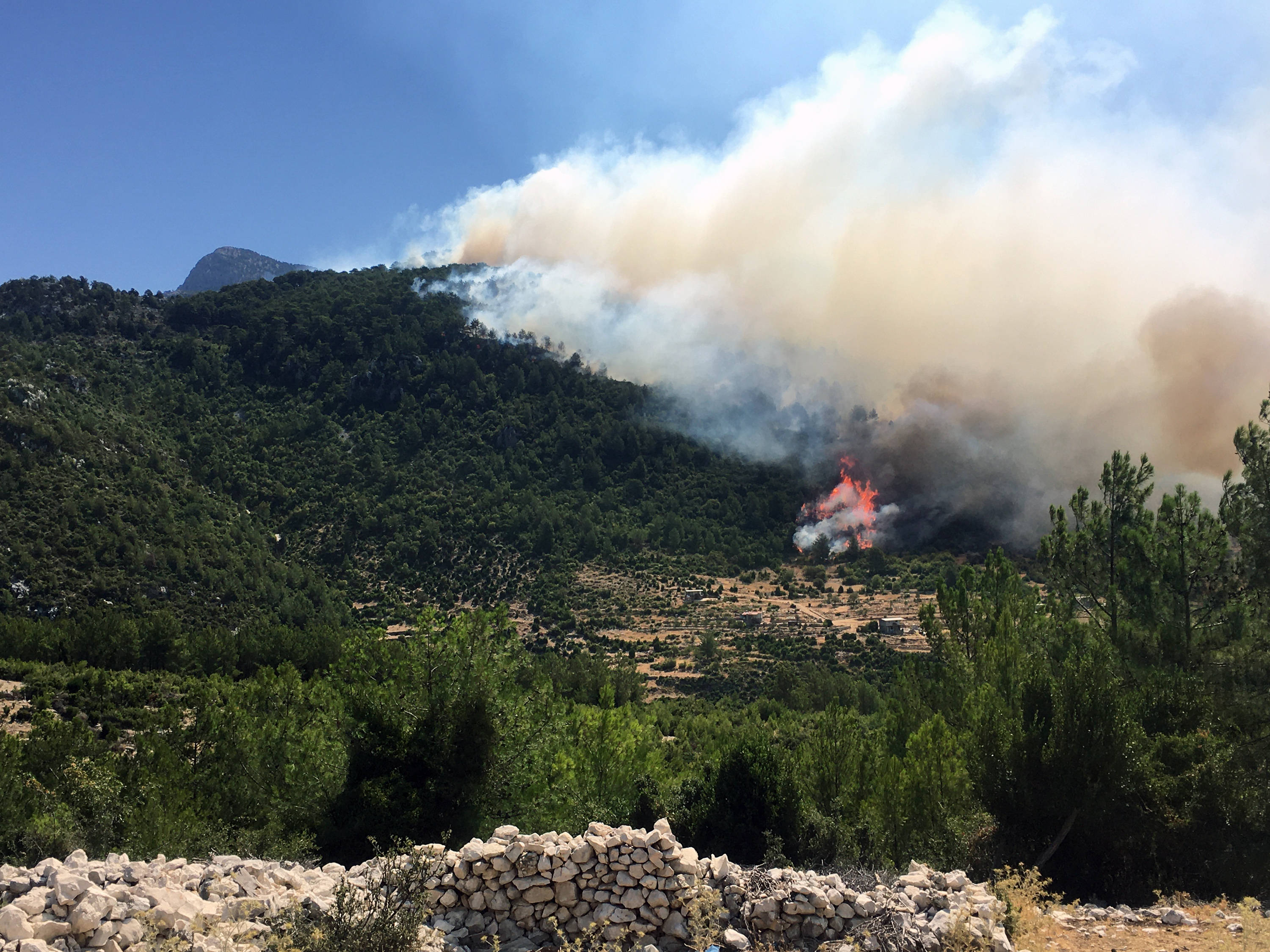 土耳其:林火持续