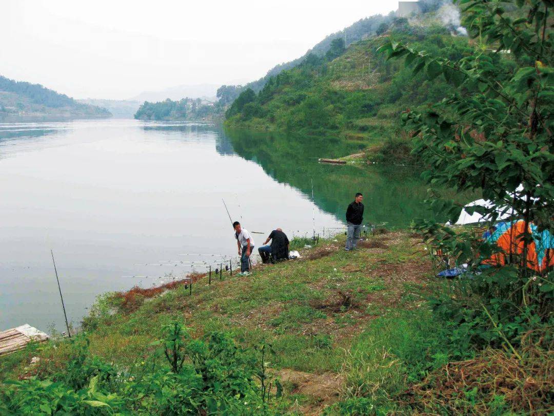 特别策划盛夏酷暑巧钓鱼第一篇大水域三伏天湖库钓草鱼