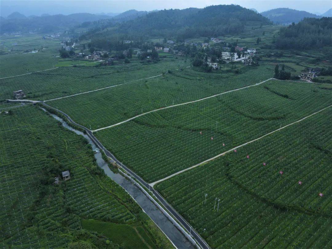 乡村振兴图集(七)| 一组图告诉你,金沙有多美——安底镇温泉村_发展