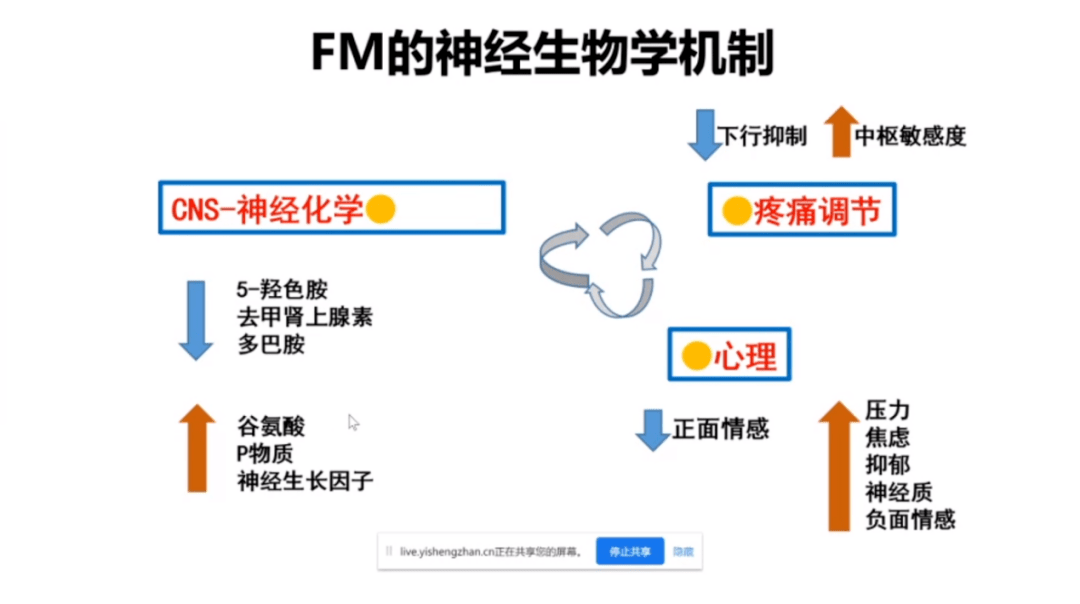 近4000萬纖維肌痛患者,如何才能不漏診,誤診?專家來遞招!_診斷