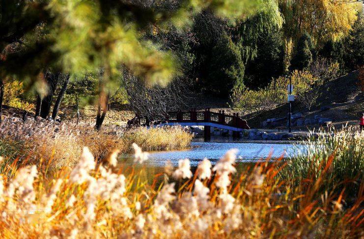 话圆明 玉玲珑馆 乾隆